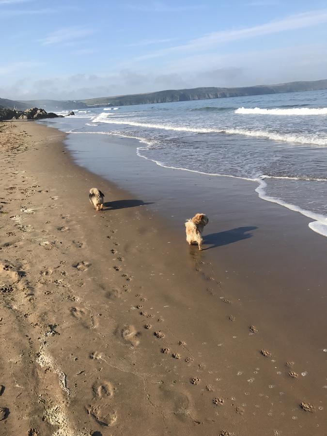 5, Sandleigh Apartment Woolacombe Εξωτερικό φωτογραφία